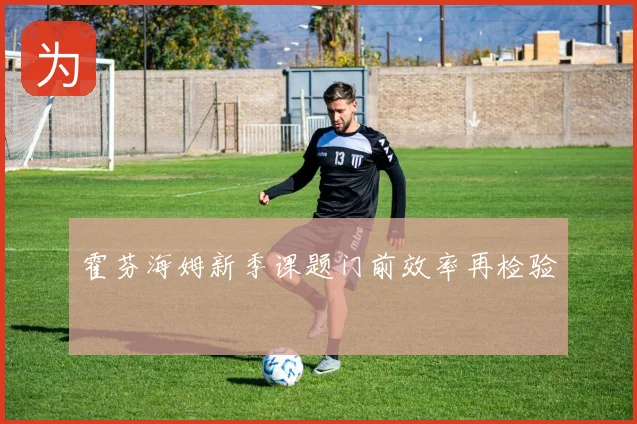 霍芬海姆新季课题门前效率再检验